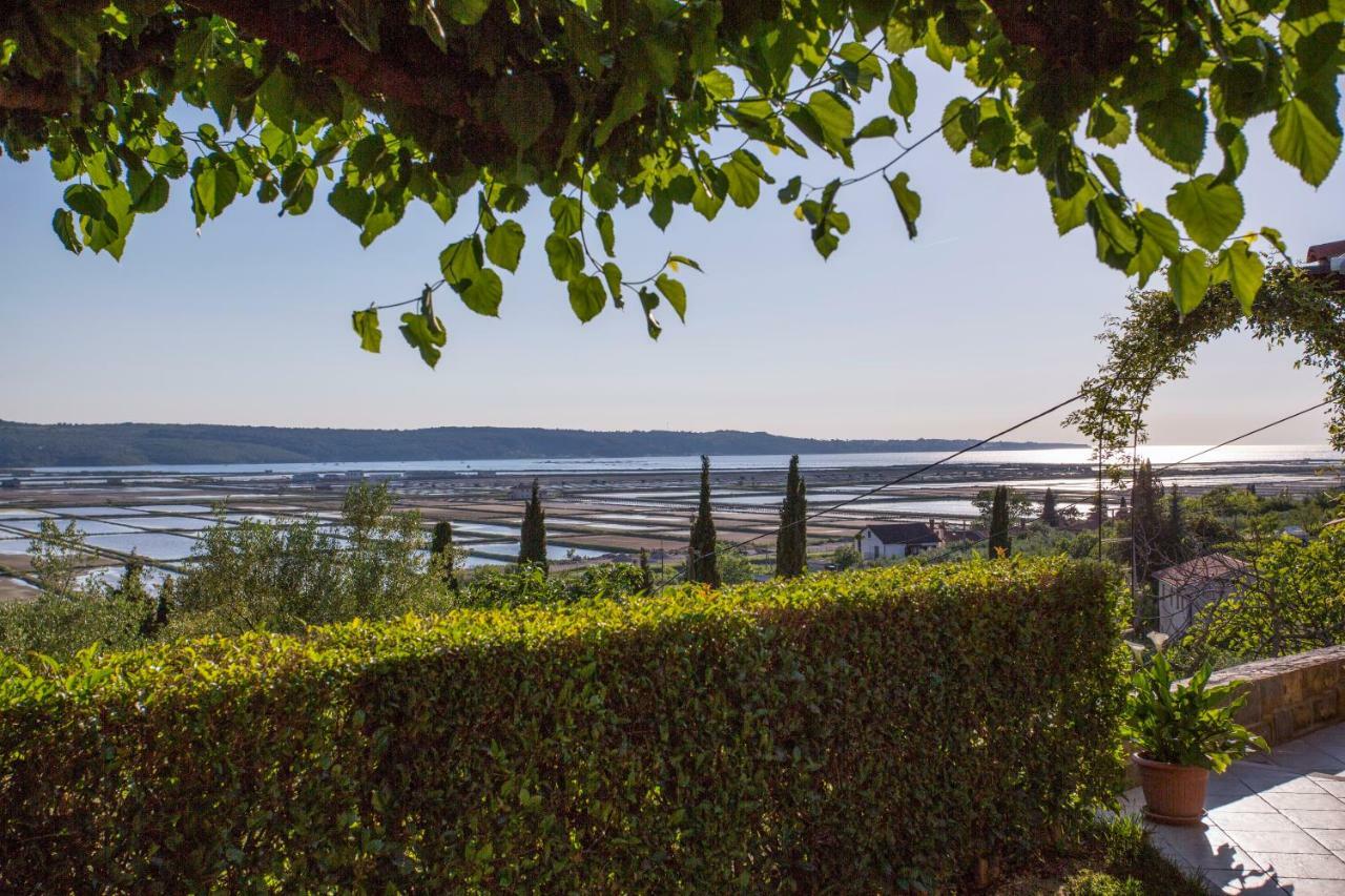 Apartment Stella Portoroz Portorož Exterior foto